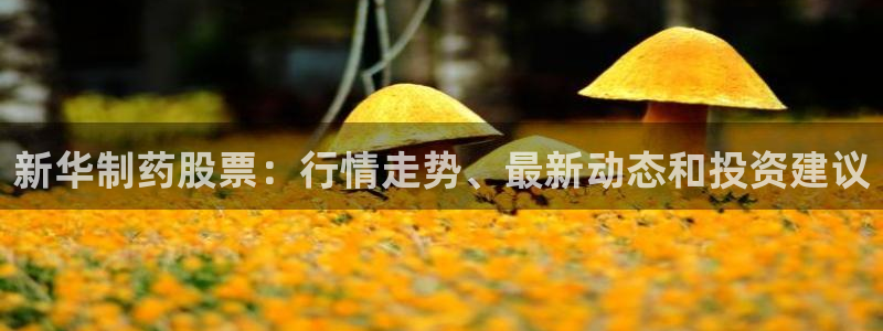 九游会老哥俱乐部官网：新华制药股票：行情走势、最新动态和投资建议