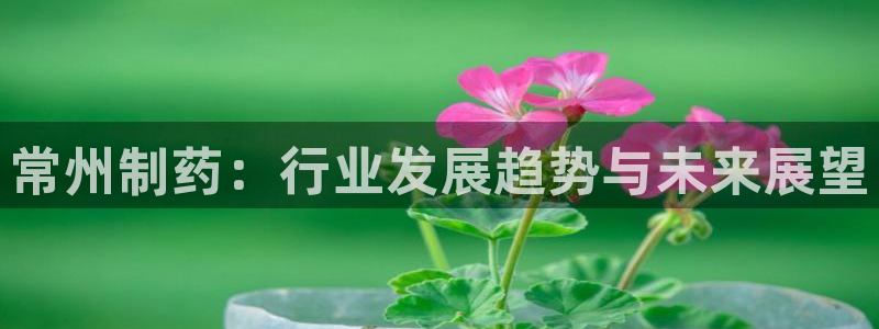 九游会老哥