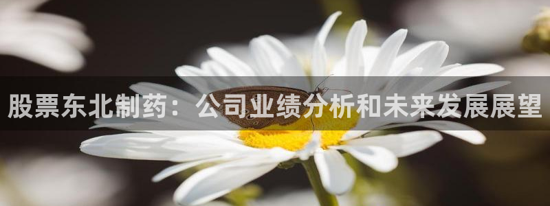 九游会老哥俱乐部官网首页：股票东北制药：公司业绩分析和未来发展展望