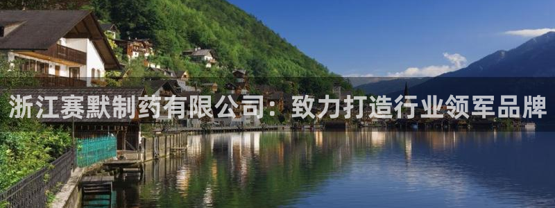 九游会老哥俱乐部必备的交流社区：浙江赛默制药有限公司：致力打造行业领军品牌
