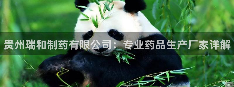 九游老哥俱乐部官网登录不了：贵州瑞和制药有限公司：专业药品生产厂家详解