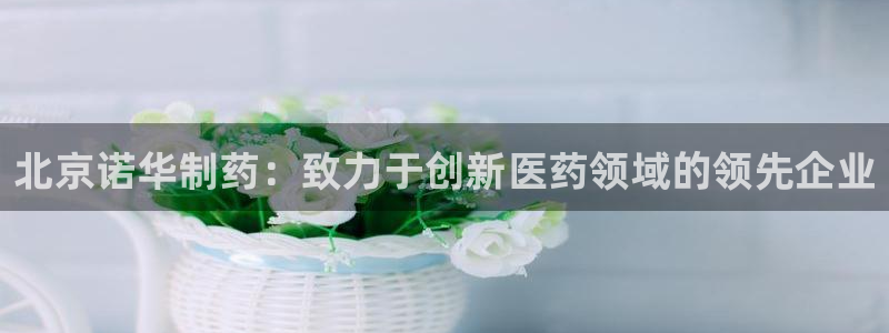 九游会老哥俱乐部官方网站：北京诺华制药：致力于创新医药领域的领先企业