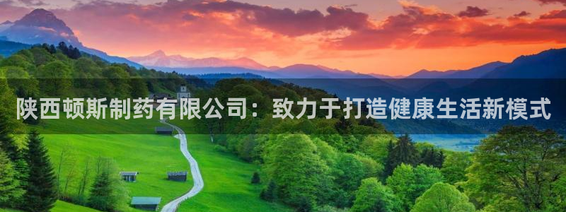 9游会老哥：陕西顿斯制药有限公司：致力于打造健康生活新模式