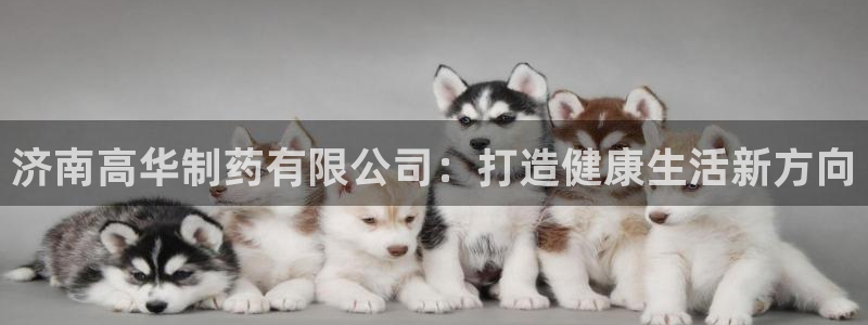 老哥吧九游会：济南高华制药有限公司：打造健康生活新方向