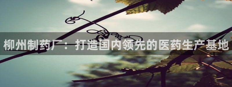 老哥俱乐部是干什么的：柳州制药厂：打造国内领先的医药生产基地