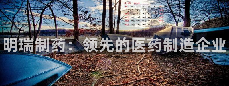 九游会老哥：明瑞制药：领先的医药制造企业