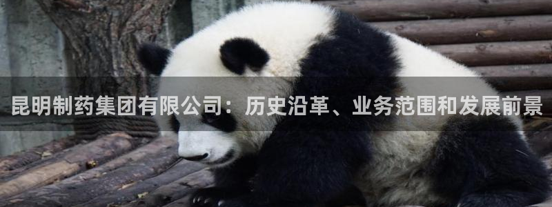 九游会老哥俱乐部官网：昆明制药集团有限公司：历史沿革、业务范围和发展前景