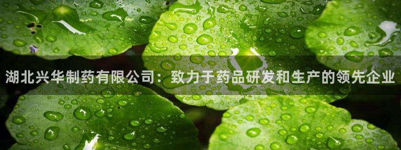 老哥俱乐部是干什么的啊