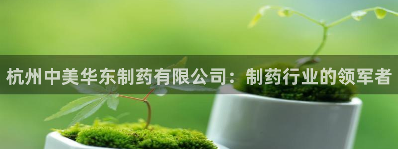 j9九游会老哥俱乐部交流区：杭州中美华东制药有限公司：制药行业的领军者