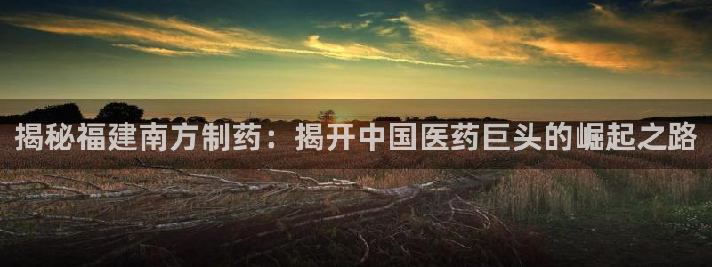 老哥俱乐部是干什么的啊：揭秘福建南方制药：揭开中国医药巨头的崛起之路