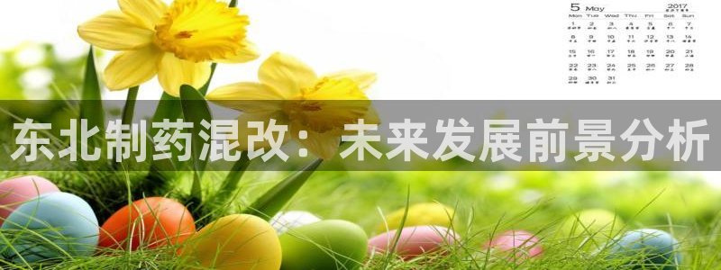 九游会老哥必备的交流社区：东北制药混改：未来发展前景分析