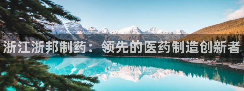 老哥吧九游会下架吗：浙江浙邦制药：领先的医药制造创新者