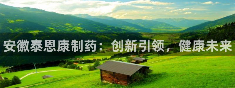 ag九游会老哥：安徽泰恩康制药：创新引领，健康未来