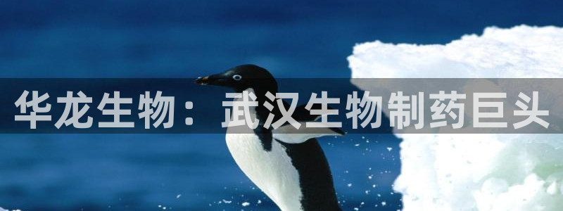 九游老哥俱乐部官网登录网址：华龙生物：武汉生物制药巨头