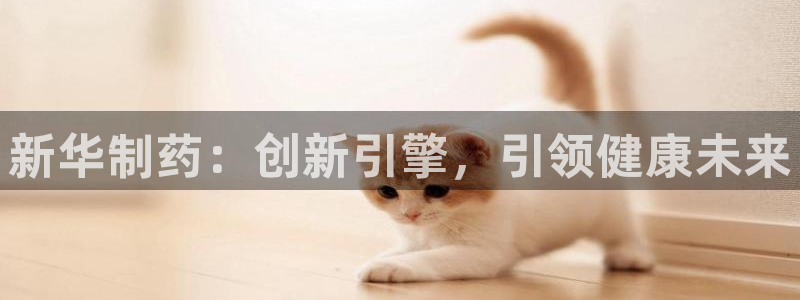 老哥俱乐部是干什么的啊：新华制药：创新引擎，引领健康未来