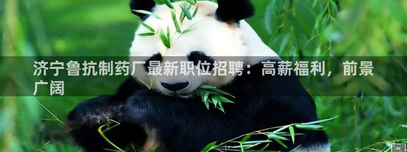 九游会老哥俱乐部官网首页：济宁鲁抗制药厂最新职位招聘：高薪福利，前景
广阔
