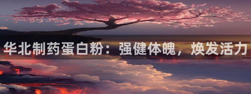 九游老哥俱乐部官网登录：华北制药蛋白粉：强健体魄，焕发活力