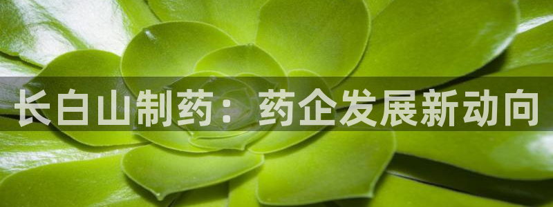 九游会老哥俱乐部官方网站：长白山制药：药企发展新动向