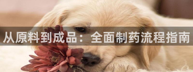 九游会老哥俱乐部官网首页论坛