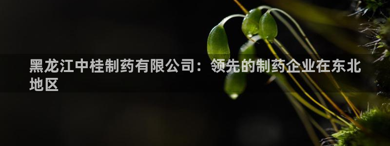 九游老哥俱乐部官网登录：黑龙江中桂制药有限公司：领先的制药企业在东北
地区