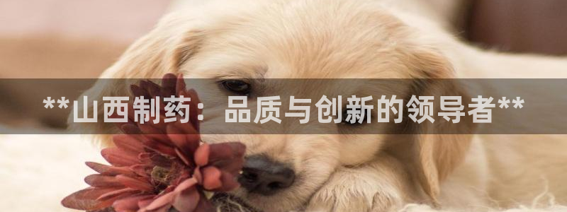 九游会老哥俱乐部论坛版：**山西制药：品质与创新的领导者**
