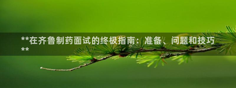 九游老哥俱乐部官网登录入口：**在齐鲁制药面试的终极指南：准备、问题和技巧
**