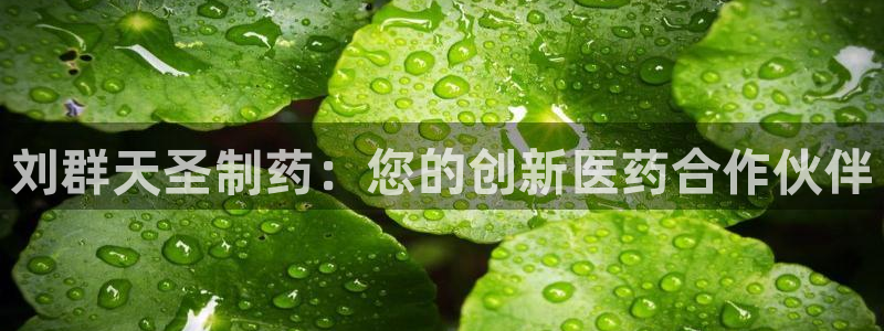 九游老哥俱乐部官网登录入口：刘群天圣制药：您的创新医药合作伙伴