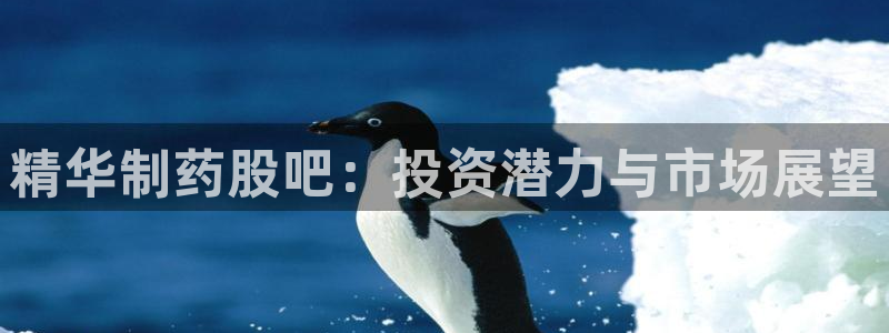 老哥俱乐部是干什么的：精华制药股吧：投资潜力与市场展望