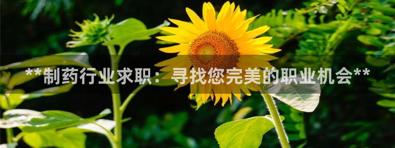 ag九游会老哥：**制药行业求职：寻找您完美的职业机会**