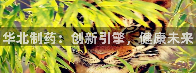 9游会老哥：华北制药：创新引擎，健康未来
