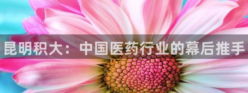 九游老哥俱乐部官网登录网址：昆明积大：中国医药行业的幕后推手