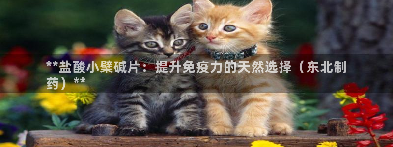九游老哥俱乐部登录：**盐酸小檗碱片：提升免疫力的天然选择（东北制
药）**