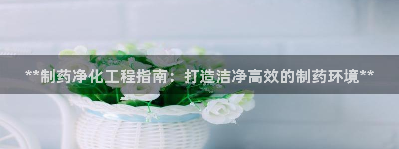 九游会老哥俱乐部社区论坛：**制药净化工程指南：打造洁净高效的制药环境**