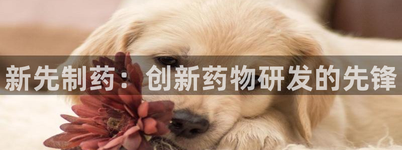 九游会老哥俱乐部论坛版：新先制药：创新药物研发的先锋