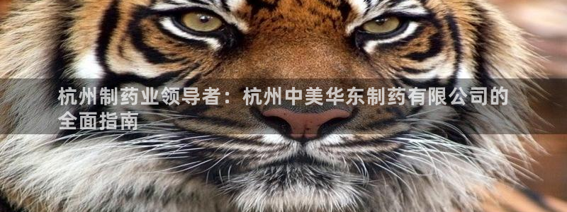 九游会老哥俱乐部官网首页论坛：杭州制药业领导者：杭州中美华东制药有限公司的
全面指南