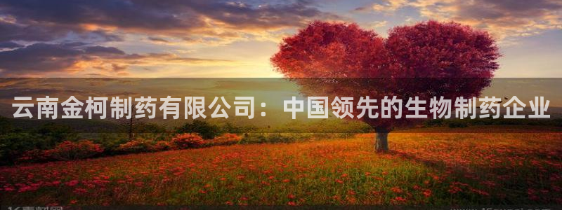 ag九游老哥俱乐部：云南金柯制药有限公司：中国领先的生物制药企业