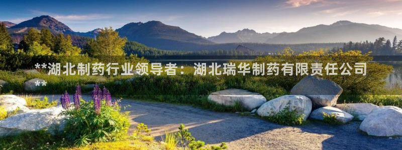 九游老哥俱乐部登录：**湖北制药行业领导者：湖北瑞华制药有限责任公司
**