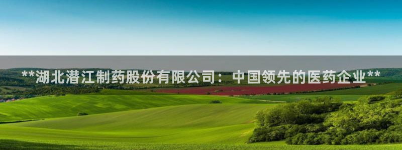9游会老哥：**湖北潜江制药股份有限公司：中国领先的医药企业**