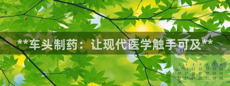 9游会老哥：**车头制药：让现代医学触手可及**