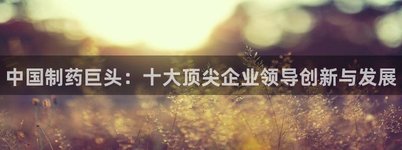 老哥俱乐部是干什么的啊：中国制药巨头：十大顶尖企业领导创新与发展