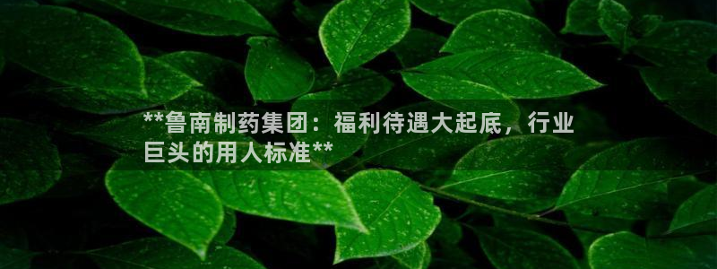 九游会老哥俱乐部论坛版：**鲁南制药集团：福利待遇大起底，行业
巨头的用人标准**