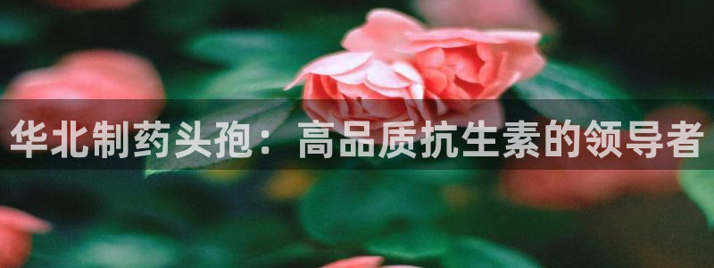 九游会老哥必备的交流社区九：华北制药头孢：高品质抗生素的领导者
