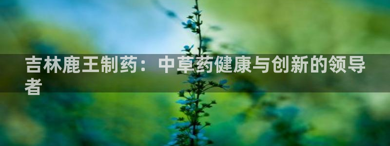 ag九游会老哥俱乐部：吉林鹿王制药：中草药健康与创新的领导
者