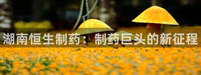 九游会老哥俱乐部官网：湖南恒生制药：制药巨头的新征程
