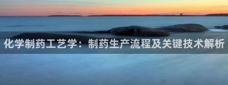 九游会老哥必备的交流社区：化学制药工艺学：制药生产流程及关键技术解析