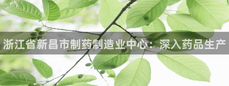 九游会老哥俱乐部官网：浙江省新昌市制药制造业中心：深入药品生产