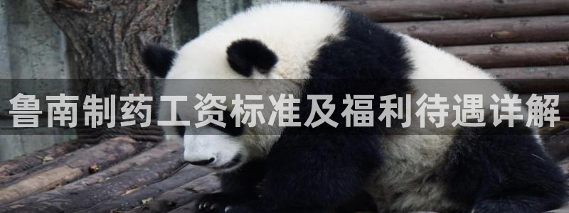 九游会老哥俱乐部：鲁南制药工资标准及福利待遇详解