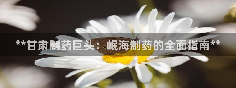 ag九游会老哥俱乐部：**甘肃制药巨头：岷海制药的全面指南**