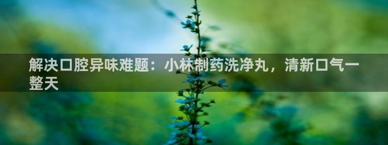 九游会老哥俱乐部必备的交流社区：解决口腔异味难题：小林制药洗净丸，清新口气一
整天