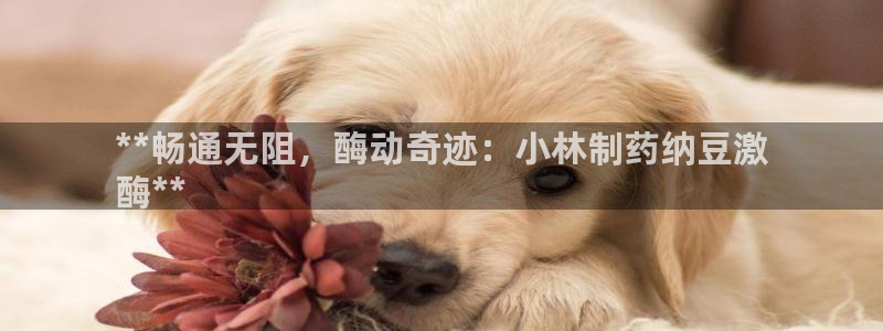 九游老哥俱乐部官网登录入口：**畅通无阻，酶动奇迹：小林制药纳豆激
酶**